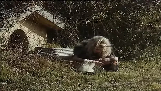 alice nel paese delle pornomeraviglie (1993, Rusça dublaj)