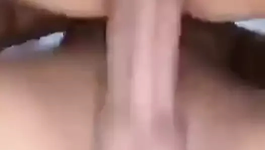 yunan kauliara xiotissa patrinia ,