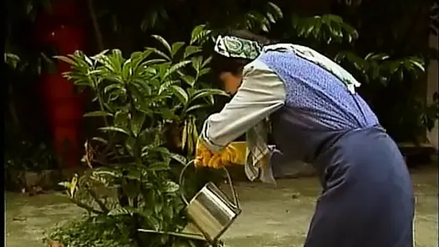 maksimum sapıklık 40: aşırı sapıklar (1994) - tam film