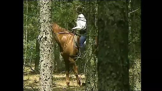 I 7 VİZİ CAPİTALİ (Uzun Metrajlı Film)